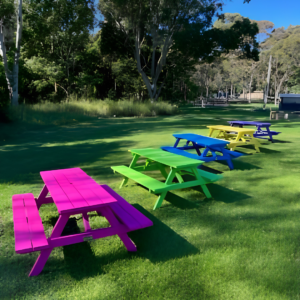 Picnic Table – Colours